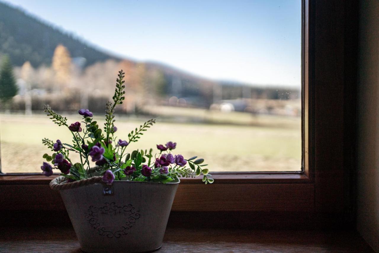Apartamenty Bogowka 11 Zakopane Esterno foto